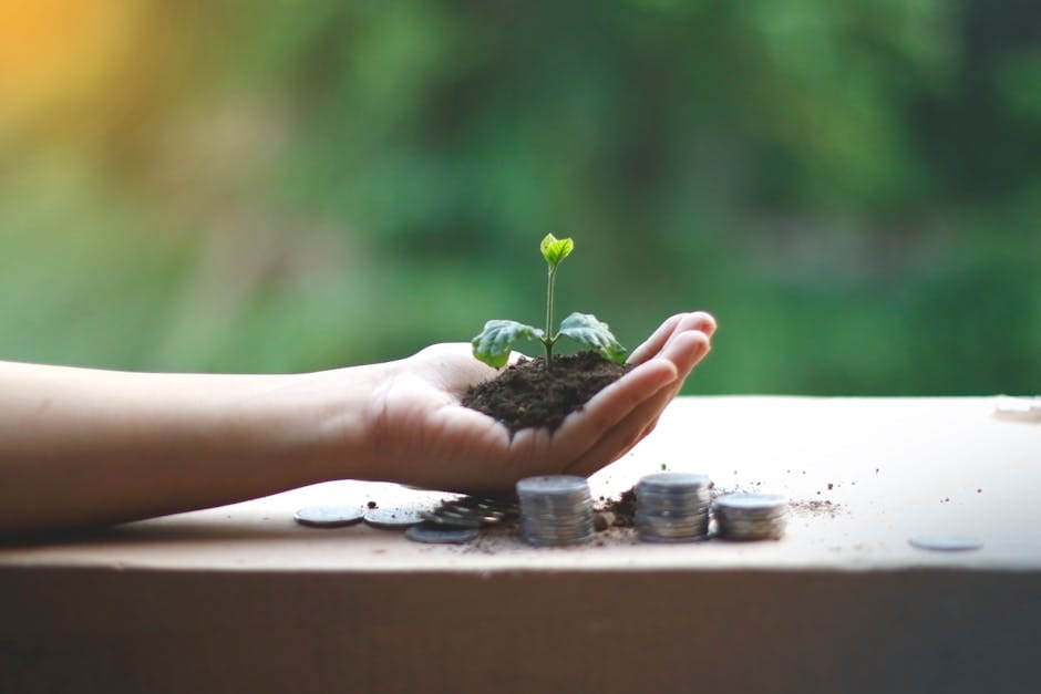 ESG Investing in Asia Reaches $3.8 Trillion as Regulations Tighten