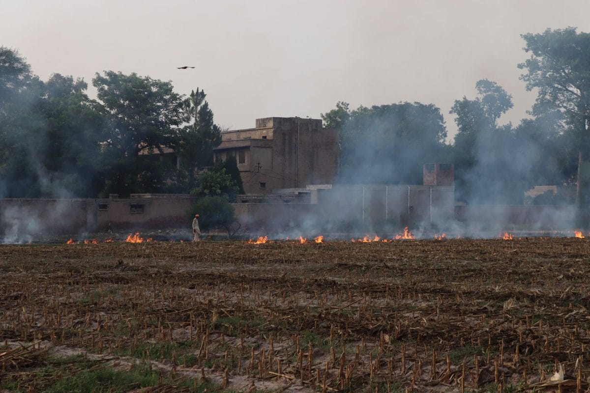Delhi Logs Worst October Start in Four Years as Farm-Fire Season Opens Under a Strengthening El Niño
