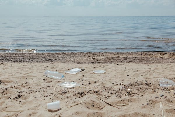 Ocean Cleanup System Removes 200,000 kg of Plastic from Pacific Garbage Patch