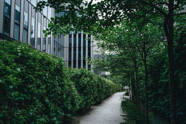 Asia's Urban Forest Race Speeds Up as Seoul's Green Path Nears Its 2026 Finish Line